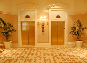 Hotel Elevator for Sale-OTSTEC.jpg