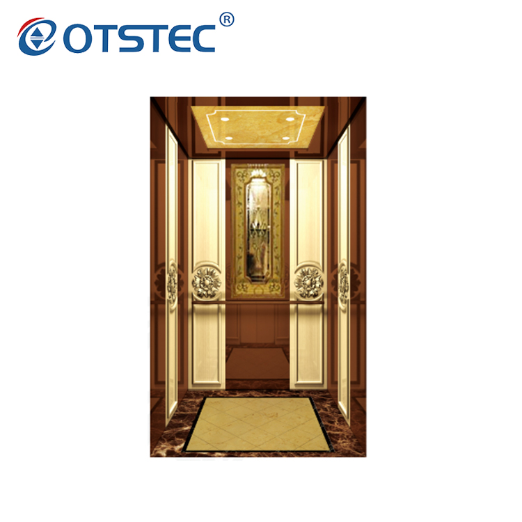 Professional Supplier Home Residential Commercial Passenger Elevator
