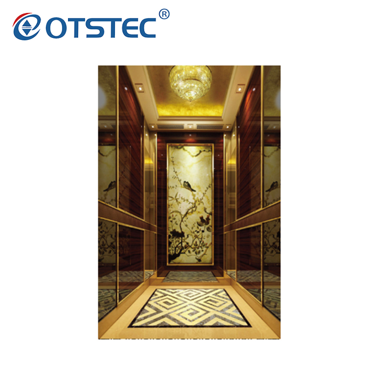 Professional Supplier Home Residential Commercial Passenger Elevator