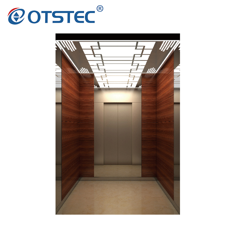 Professional Supplier Provide Various Designs Lifts Small Home Elevator