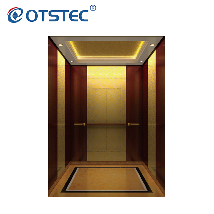 Elivator Small Home Elevator Modern Design