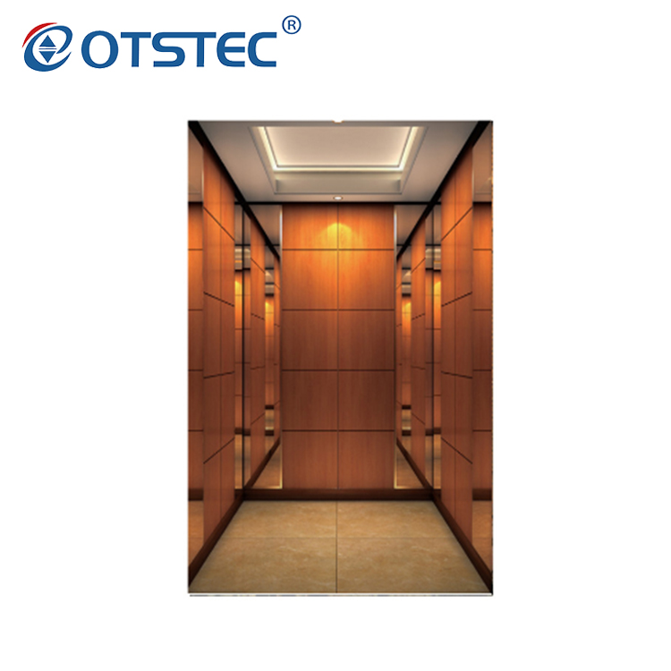 Wooden Mirror Stainless Steel Best Quality Home Elevator