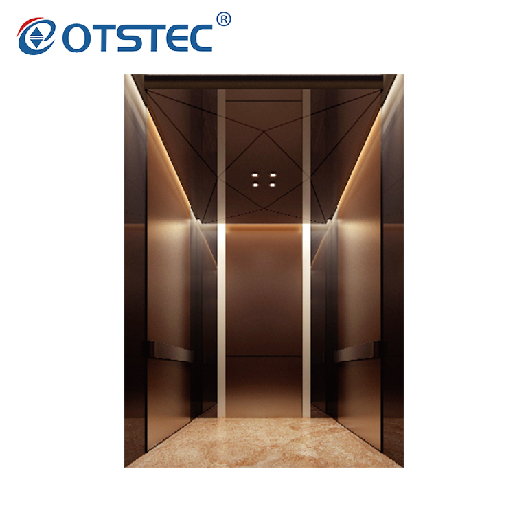 Elivator Small Home Elevator Modern Design