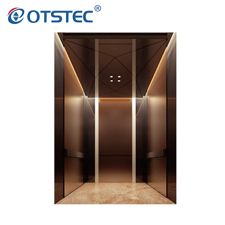 Elivator Small Home Elevator Modern Design