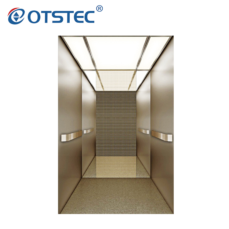 2 Floor Best Price 8 Person Elevator Passenger Elevator In China