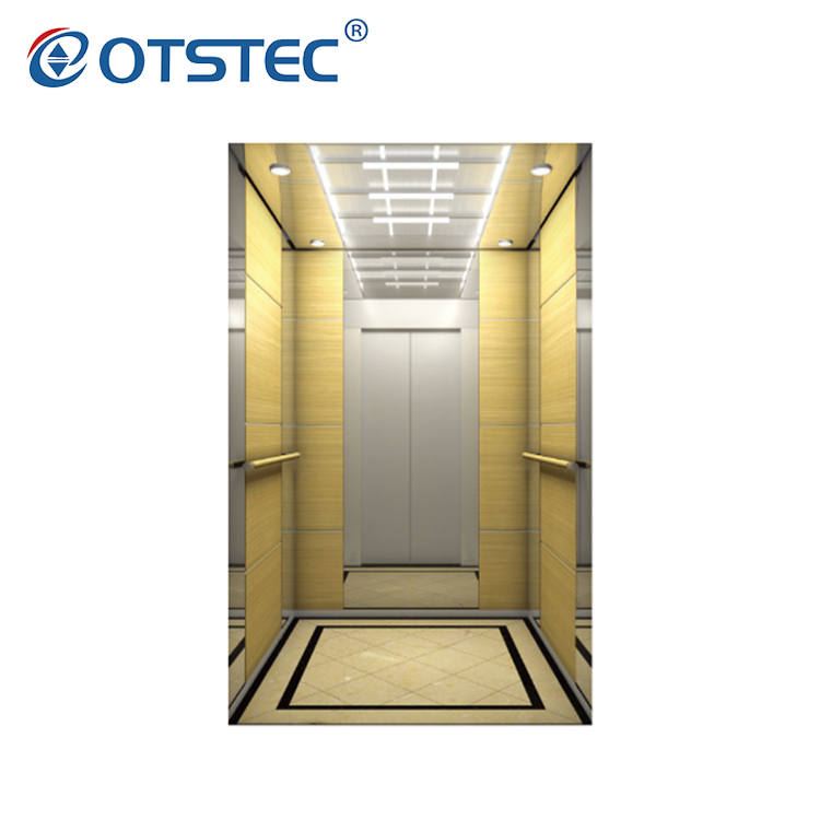 Standard Design Stainless Steel Mirror Etched Price of Residential Home Elevators
