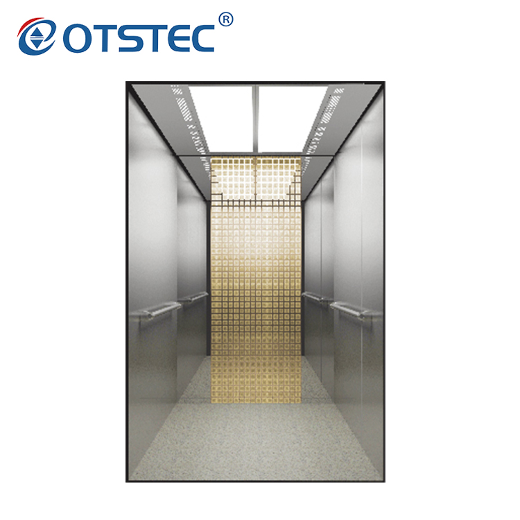 Auto Lift Standard Mirror Etched Design Passenger Elevator Price