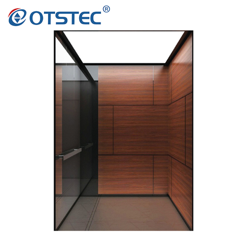 Economic And Customized Design Elevator Passenger Lift Supplier With CE Certifications