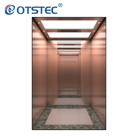 Professional Supplier Home Residential Commercial Passenger Home Elevator