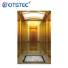 Standard titanium golden passenger elevator
