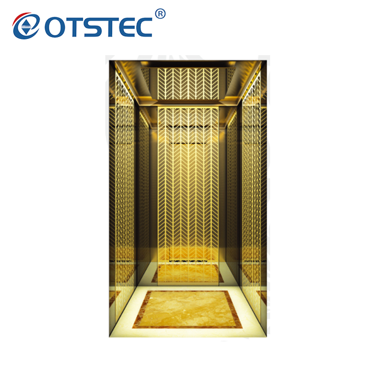 Professional Supplier Home Residential Commercial Passenger Elevator