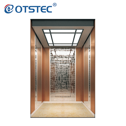 CE Certificate Auto Elevator Stainless Steel Passenger Elevator